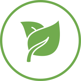 icon-all-natural, two plant leaves